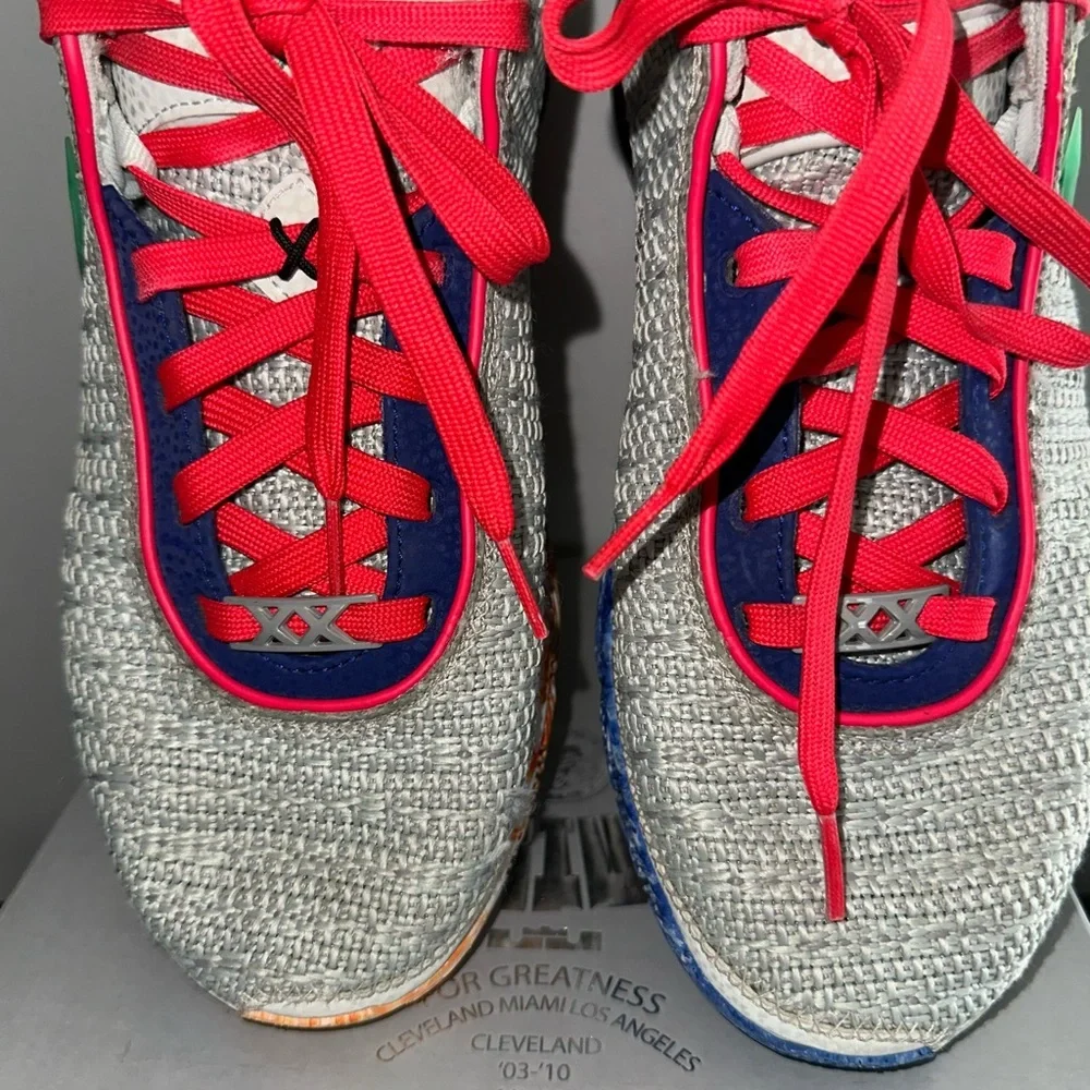 Lebron XX Men’s Size 7.5/Women 9 Silver/Hyper Royal DJ5423 002 - EUC